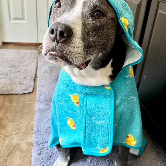 Dog Bathrobe Towel Lightweight, Fast Drying Bathrobe for Dogs - Picture 3 of 7